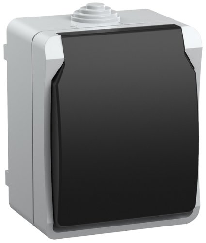 Розетка с заземлением накладная IEK Форс РСб20-3-ФСр 1-м. крышка шторки IP54 серый картинка